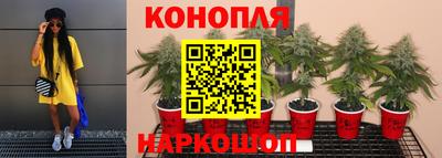 твердый Дубна