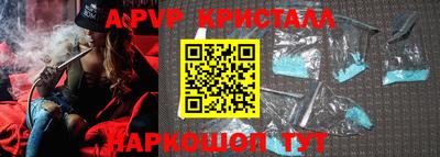 дмт Донской
