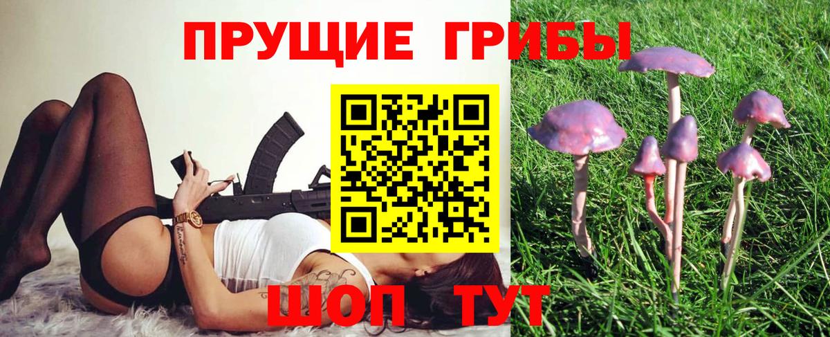 Минусинск  где можно купить наркотик  Вход с VPN  Псилоцибиновые грибы Psilocybine cubensis  Галлюциногенные грибы мухоморы 
