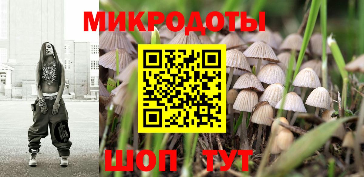 Галлюциногенные грибы мицелий Минусинск